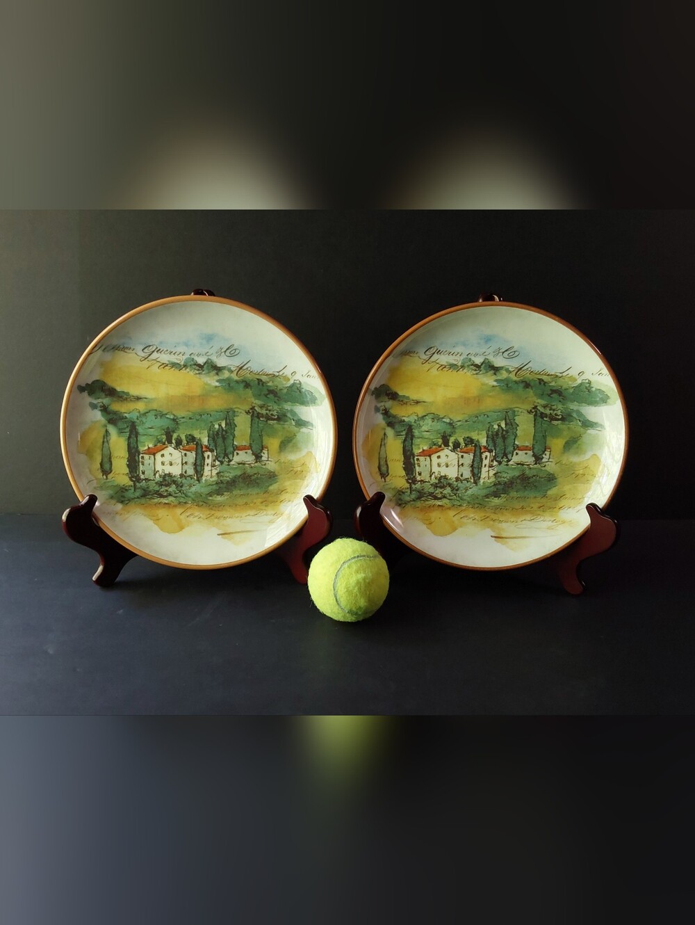 Williams Sonoma Paysage SALAD/DESSERT Plates (2) by Marc Lacaze 2008 STYLE C
